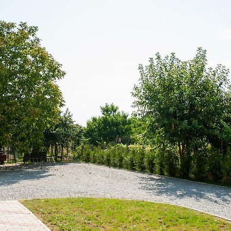 Pensiunea Vlad Arad Exterior foto