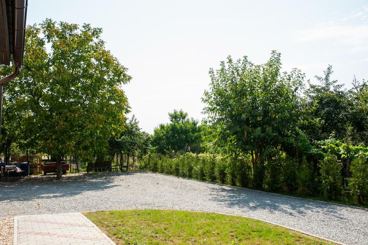 Pensiunea Vlad Arad Exterior foto